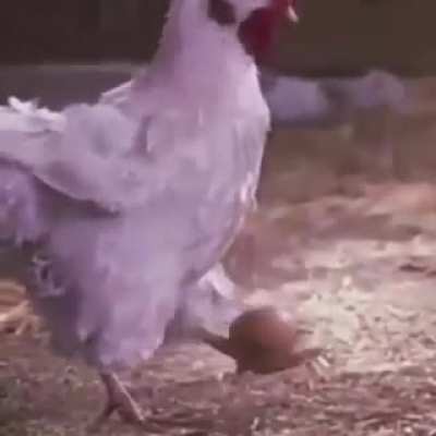 😎
