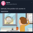 Look Morty!