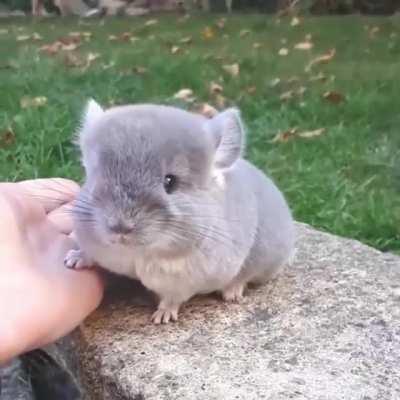 99% fluff