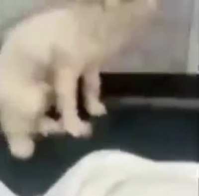 me when apandah porn
