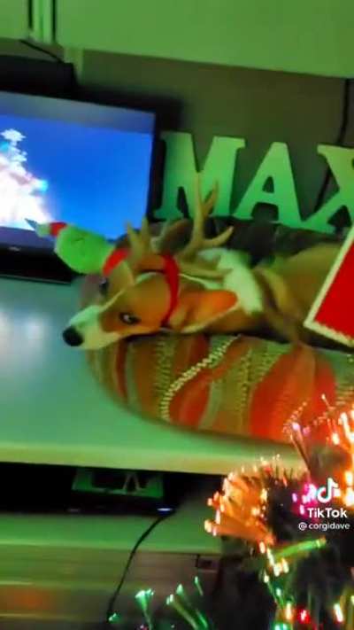 Decorating your cube at work