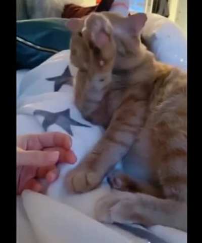 Enough peasant!