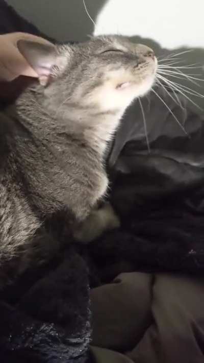 She has very vocal opinions about everything