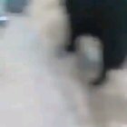Nice headbutt