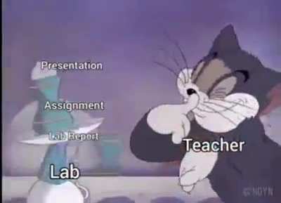 every semester at pharmacy school