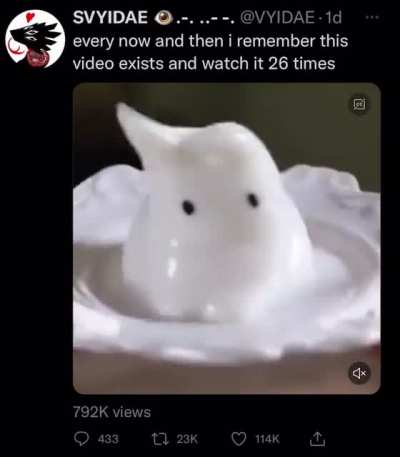 jello cat