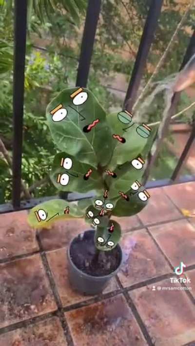 Thanks, I hate plants