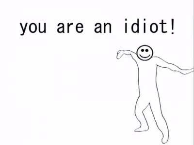 Remix of the You Are An Idiot virus song