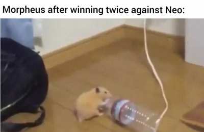 Go Morpheus!