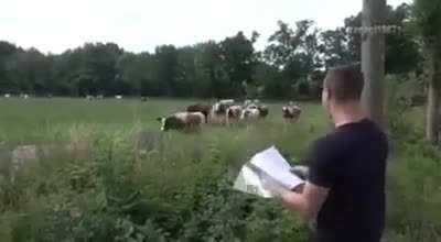 boost milk production...