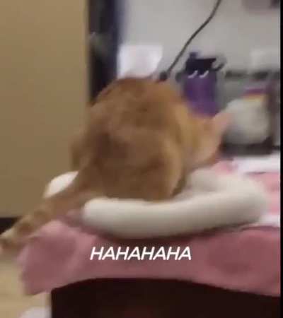 Ninja boii