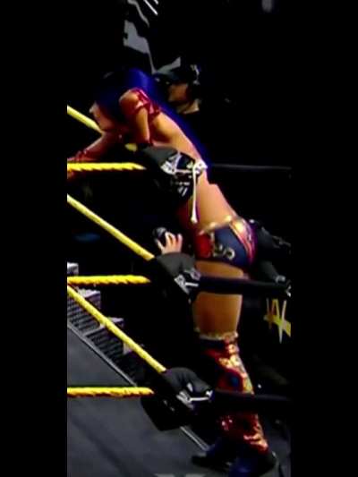 Sasha Banks ass
