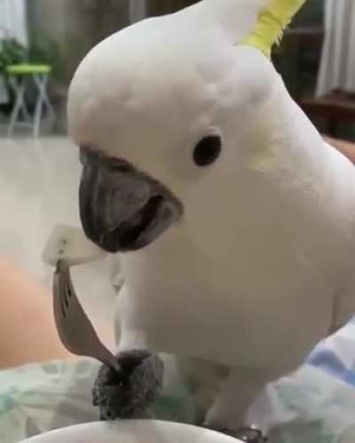 Dinner Time
