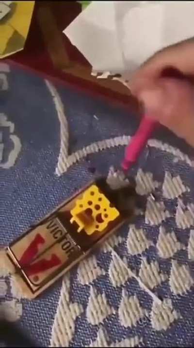 Professional trap tester