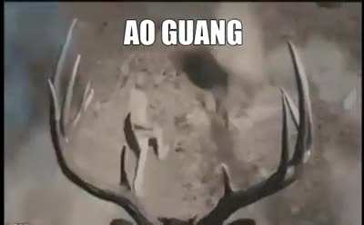 ¿?