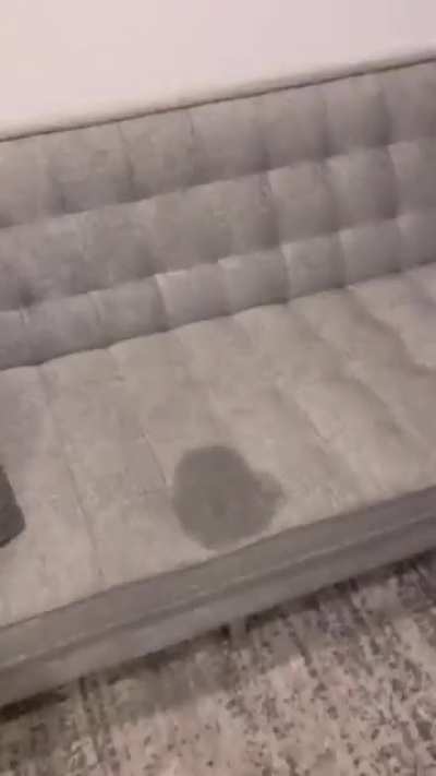 Danm so wet