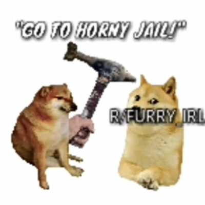 furry😤irl