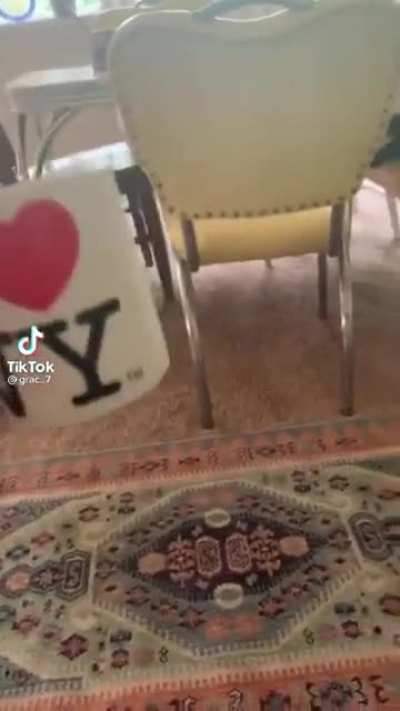 Im gonna pour it on my computer AGHHH