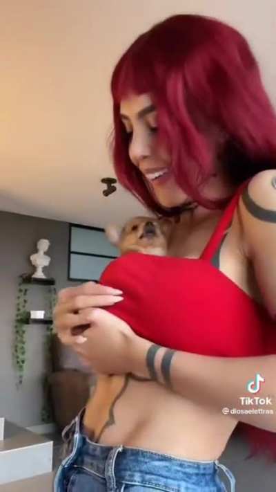 🐶 🐕 puppy shelved in cleavage