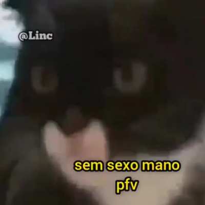 Link?