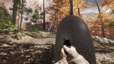 Need Brutal Feedback : FPS game with animal controller