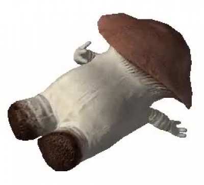 i dont even know