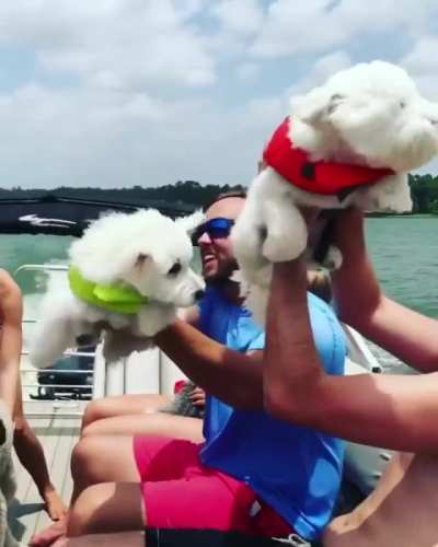 I Believe I Can Fly
