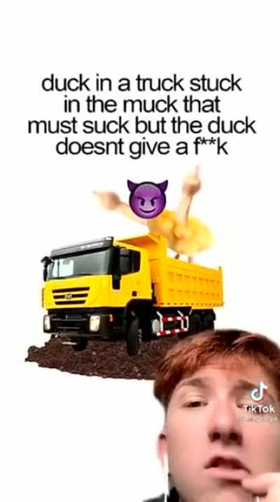 Duck
