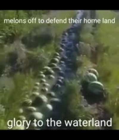 Rule