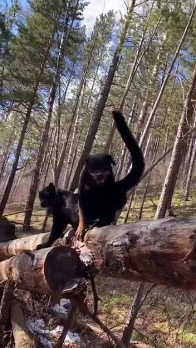 just to save