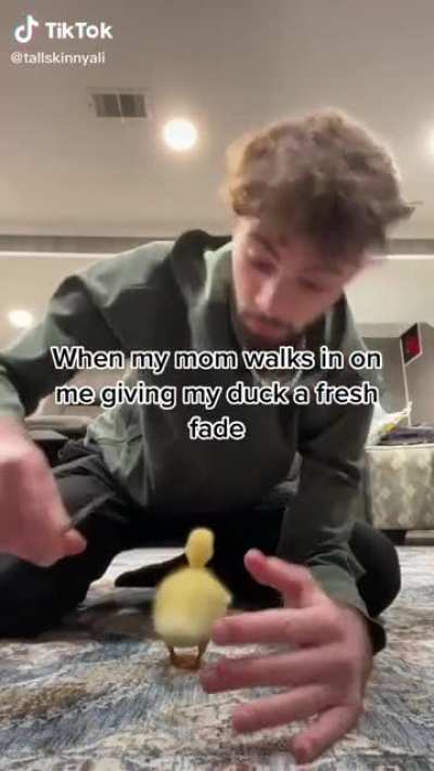 When mom catches you giving your duck a fresh fade