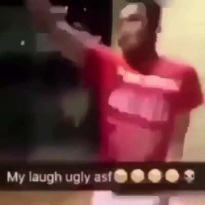 donkey