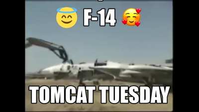 Can we get some F-14 appreciation for Tomcat Tuesday?