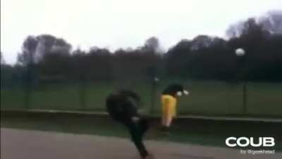 Shaolin soccer