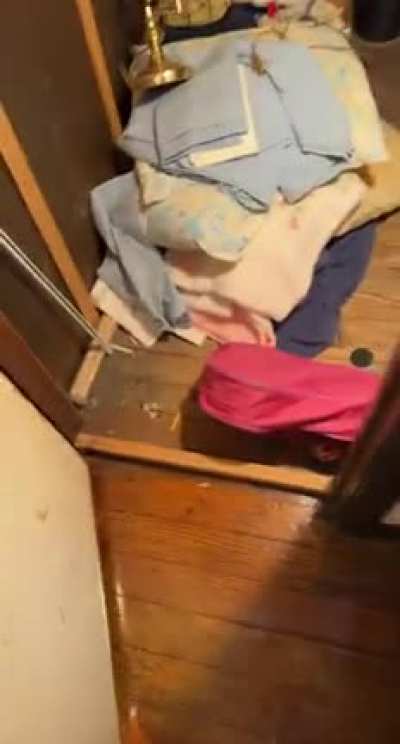 “Where is he??”