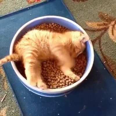 Breakfast in bed