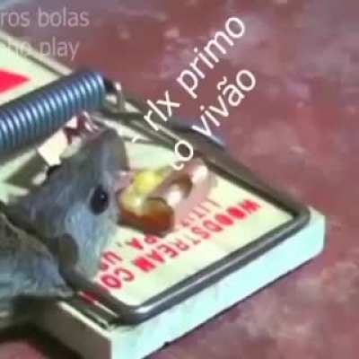 Boa noite muca
