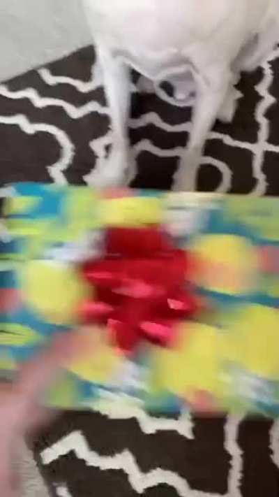 Blursed gift