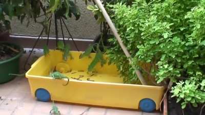 Chameleons eating with Yoshi sounds