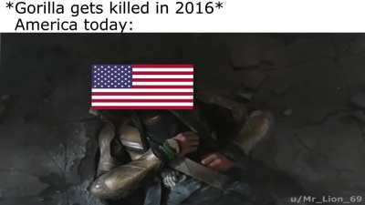 Wtf America?!