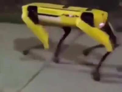Basedbot_9000