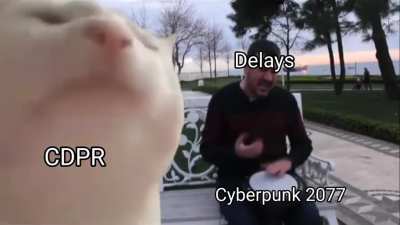 true story