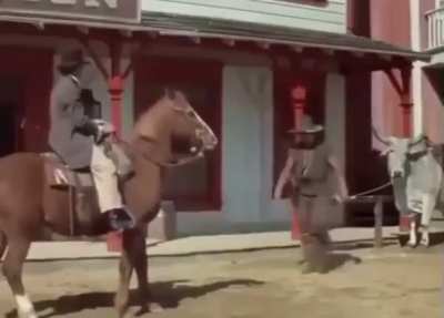 You can’t park that animal over there!