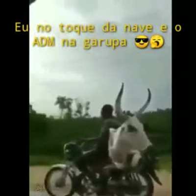 😎😎😎😎