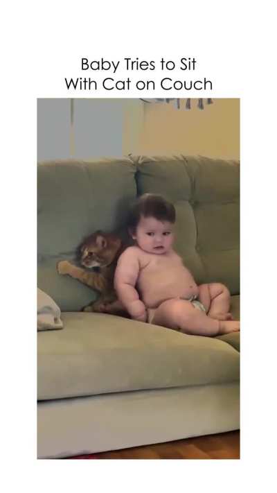 Poor cat