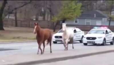 Riverside traffic in Tulsa today