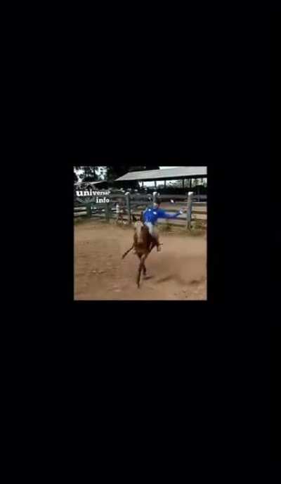 Welcome to the rodeo