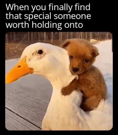 Never let go