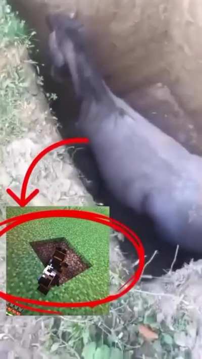 Minecraft real life