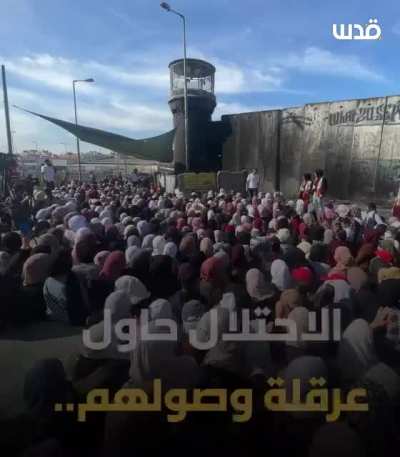 🇵🇸🇵🇸🇵<wbr>🇸